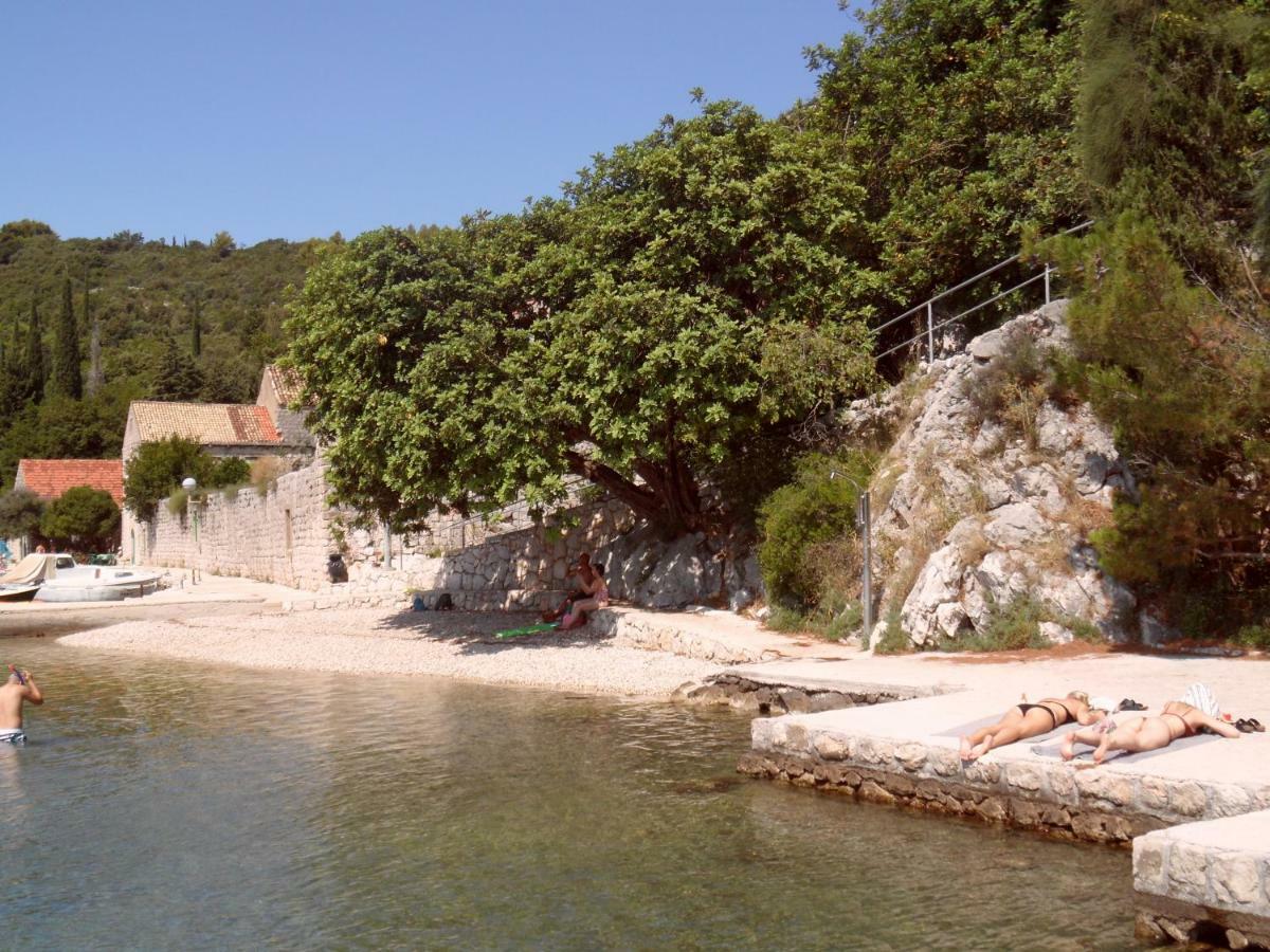 Vesna - Your Best Choice - 80 M From Beach Затон Екстериор снимка